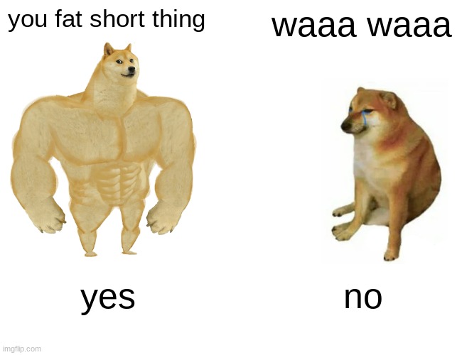 Buff Doge vs. Cheems Meme | you fat short thing; waaa waaa; yes; no | image tagged in memes,buff doge vs cheems | made w/ Imgflip meme maker