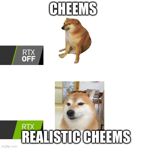 cheems meme | CHEEMS; REALISTIC CHEEMS | image tagged in rtx,cheems | made w/ Imgflip meme maker