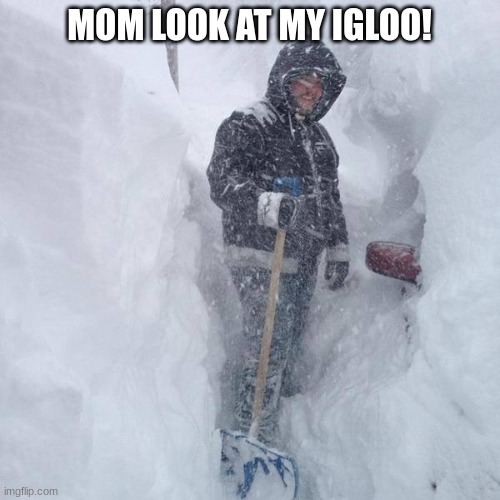 SNOW!!! | MOM LOOK AT MY IGLOO! | image tagged in snow | made w/ Imgflip meme maker