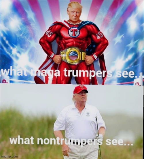 trump fiction vs reality | image tagged in trump,reality | made w/ Imgflip meme maker