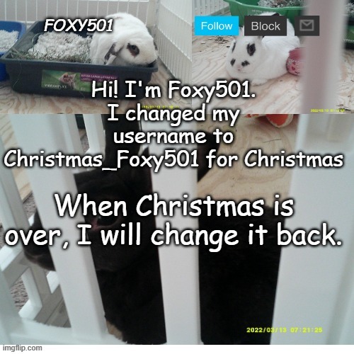 Yes I'm back after over a month | Hi! I'm Foxy501. I changed my username to Christmas_Foxy501 for Christmas; When Christmas is over, I will change it back. | image tagged in foxy501 announcement template | made w/ Imgflip meme maker