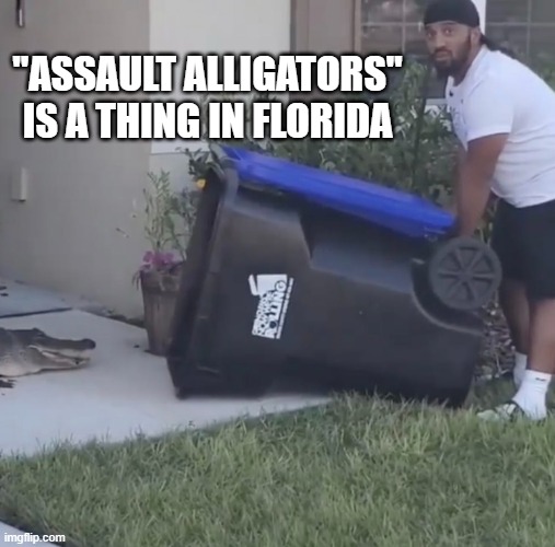 Florida man traps alligator | "ASSAULT ALLIGATORS" IS A THING IN FLORIDA | image tagged in florida man traps alligator | made w/ Imgflip meme maker