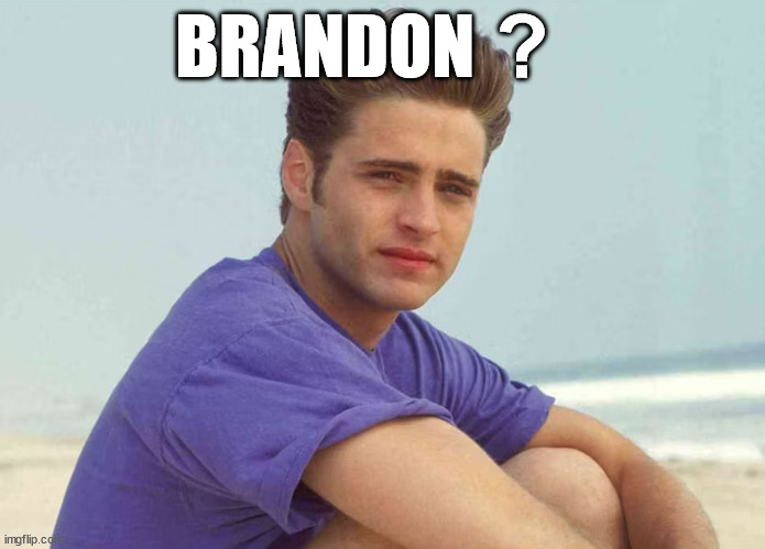 Brandon Walsh | ? BRANDON | image tagged in brandon walsh,brandon | made w/ Imgflip meme maker
