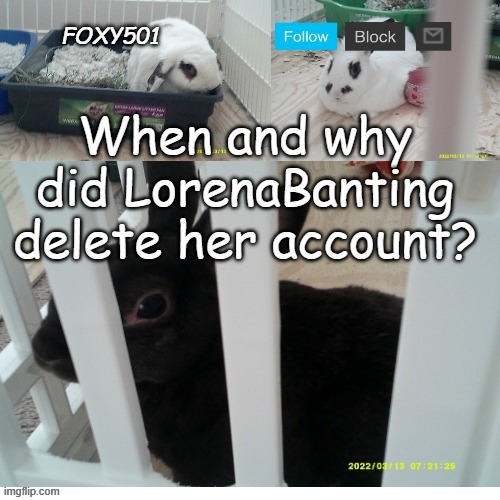 Foxy501 announcement template | When and why did LorenaBanting delete her account? | image tagged in foxy501 announcement template | made w/ Imgflip meme maker