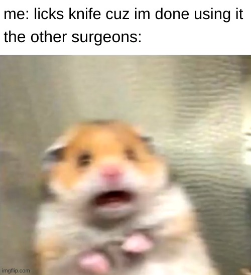 Scared Hamster | me: licks knife cuz im done using it; the other surgeons: | image tagged in scared hamster | made w/ Imgflip meme maker