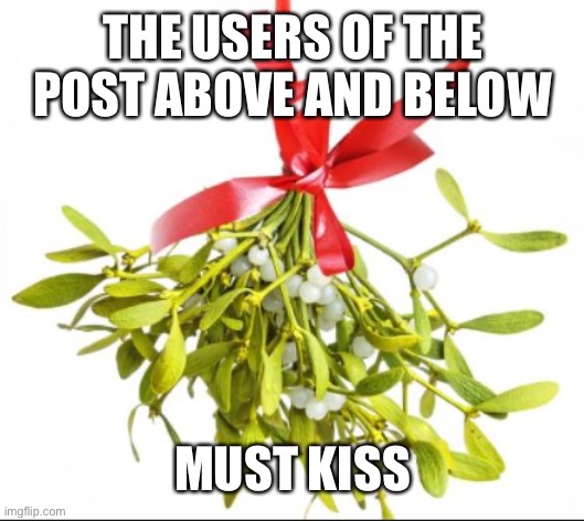 mistletoe | THE USERS OF THE POST ABOVE AND BELOW; MUST KISS | image tagged in mistletoe | made w/ Imgflip meme maker