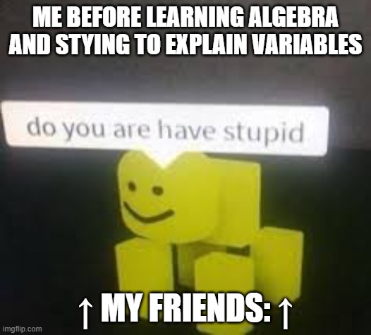 I'm Smart! | ME BEFORE LEARNING ALGEBRA AND STYING TO EXPLAIN VARIABLES; ↑ MY FRIENDS: ↑ | image tagged in do you are have stupid,algebra,stupid,dumb | made w/ Imgflip meme maker