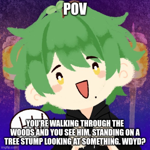 Any RP except romance|No hurting or killing him|No joke OCS | POV; YOU'RE WALKING THROUGH THE WOODS AND YOU SEE HIM, STANDING ON A TREE STUMP LOOKING AT SOMETHING. WDYD? | image tagged in rp,woods,forest | made w/ Imgflip meme maker