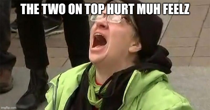crying liberal | THE TWO ON TOP HURT MUH FEELZ | image tagged in crying liberal | made w/ Imgflip meme maker