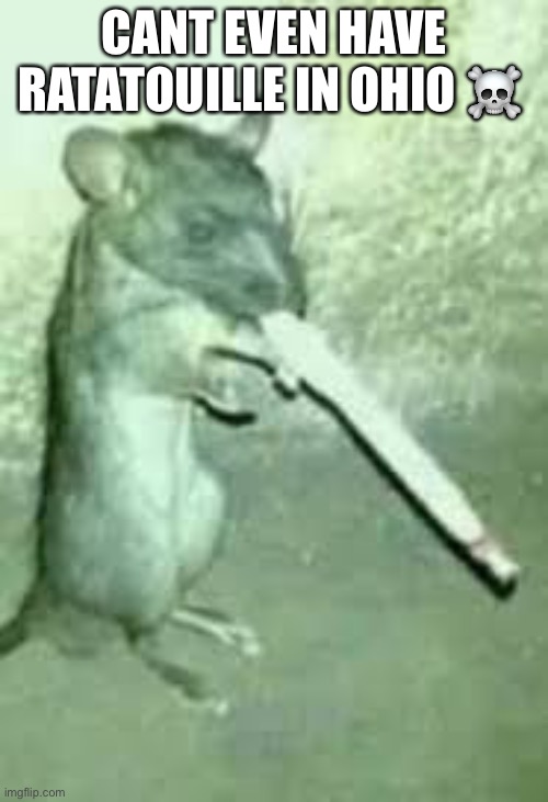 Most normal rat in ohio | CANT EVEN HAVE RATATOUILLE IN OHIO ☠️ | image tagged in ratatouille,rat,smoking,ohio,only in ohio,down in ohio | made w/ Imgflip meme maker