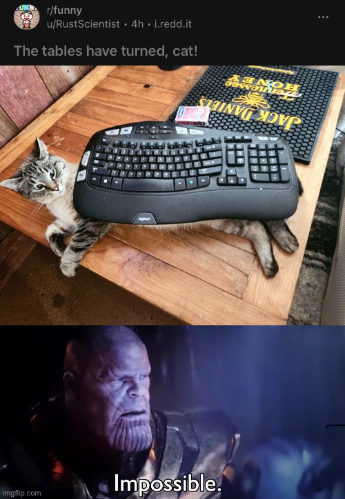 Bro that’s a bug, THAT’S A BUG | image tagged in thanos impossible | made w/ Imgflip meme maker