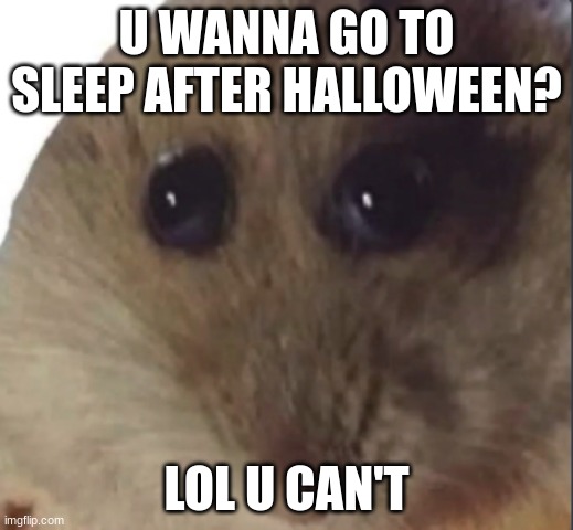 because u eat 2 much candy | U WANNA GO TO SLEEP AFTER HALLOWEEN? LOL U CAN'T | image tagged in hampter,halloween | made w/ Imgflip meme maker