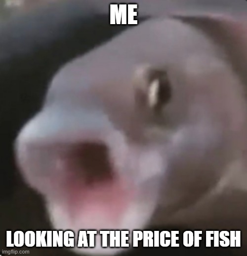 Holy Mackerel | ME; LOOKING AT THE PRICE OF FISH | image tagged in poggers fish,funny meme,animals,fish,funny | made w/ Imgflip meme maker
