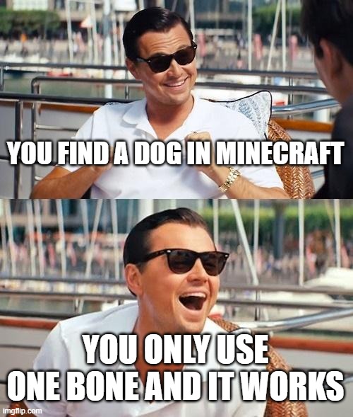 wholesome memes 1 | YOU FIND A DOG IN MINECRAFT; YOU ONLY USE ONE BONE AND IT WORKS | image tagged in memes,leonardo dicaprio wolf of wall street | made w/ Imgflip meme maker