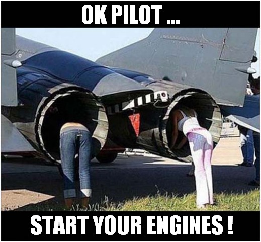 Prepare To Be Toasty ! | OK PILOT ... START YOUR ENGINES ! | image tagged in jets,burn,dark humour | made w/ Imgflip meme maker