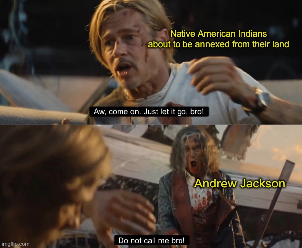 DO NOT CALL ME BRO!!! | Native American Indians about to be annexed from their land; Andrew Jackson | image tagged in do not call me bro | made w/ Imgflip meme maker