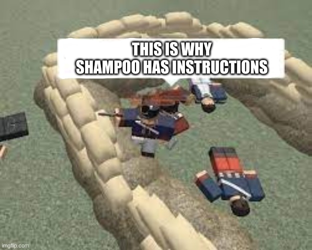 Meme within a meme | THIS IS WHY SHAMPOO HAS INSTRUCTIONS | image tagged in funny | made w/ Imgflip meme maker