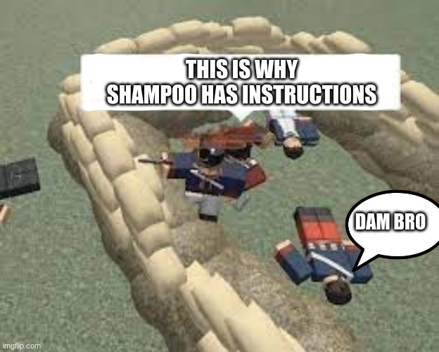 This is why shampoo has instructions dude | THIS IS WHY SHAMPOO HAS INSTRUCTIONS; DAM BRO | image tagged in funny | made w/ Imgflip meme maker