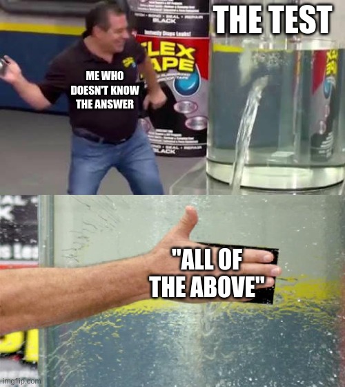 Flex Tape | THE TEST; ME WHO DOESN'T KNOW THE ANSWER; "ALL OF THE ABOVE" | image tagged in flex tape | made w/ Imgflip meme maker