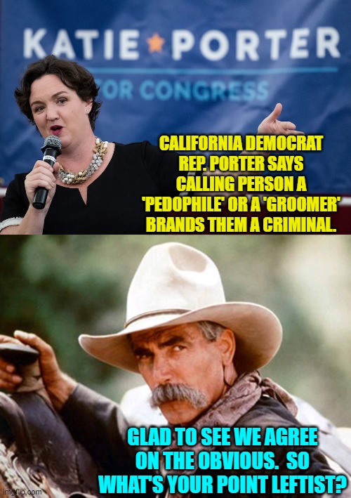 Yeah . . . and pain hurts and poverty sucks. | CALIFORNIA DEMOCRAT REP. PORTER SAYS CALLING PERSON A 'PEDOPHILE' OR A 'GROOMER' BRANDS THEM A CRIMINAL. GLAD TO SEE WE AGREE ON THE OBVIOUS.  SO WHAT'S YOUR POINT LEFTIST? | image tagged in truth | made w/ Imgflip meme maker