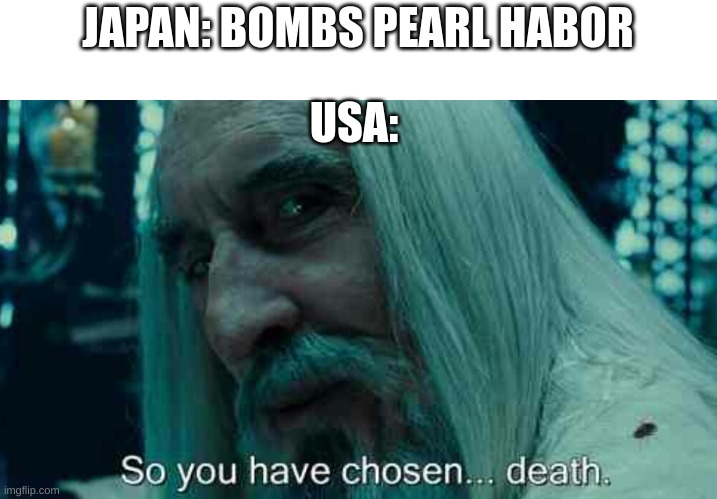 dont mess with the USA | JAPAN: BOMBS PEARL HABOR; USA: | image tagged in so you have chosen death,memes,usa,japan | made w/ Imgflip meme maker