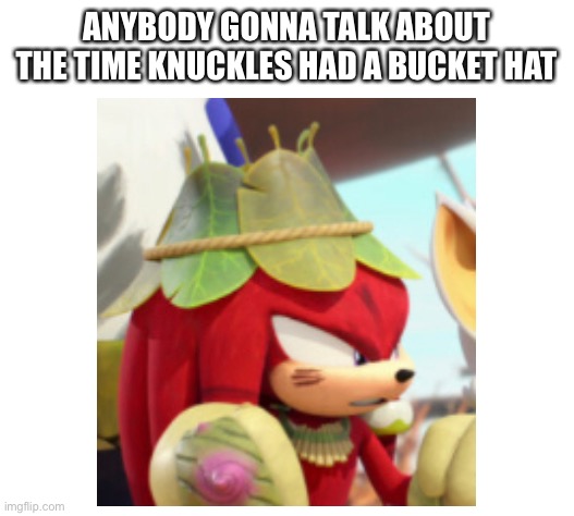 Bucket hat knuckles | ANYBODY GONNA TALK ABOUT THE TIME KNUCKLES HAD A BUCKET HAT | image tagged in sonic | made w/ Imgflip meme maker