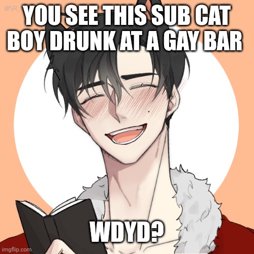 No hurting or killing him | YOU SEE THIS SUB CAT BOY DRUNK AT A GAY BAR; WDYD? | made w/ Imgflip meme maker