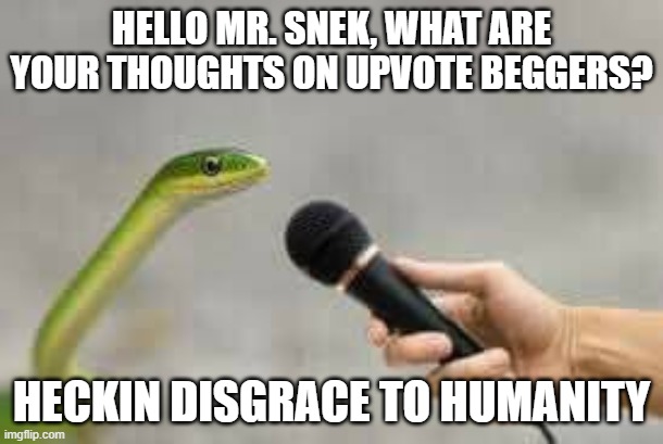 heckin snek interview |  HELLO MR. SNEK, WHAT ARE YOUR THOUGHTS ON UPVOTE BEGGERS? HECKIN DISGRACE TO HUMANITY | image tagged in snek,interview,upvote begging | made w/ Imgflip meme maker