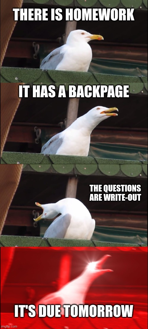 It's so true right? | THERE IS HOMEWORK; IT HAS A BACKPAGE; THE QUESTIONS ARE WRITE-OUT; IT'S DUE TOMORROW | image tagged in memes,inhaling seagull | made w/ Imgflip meme maker