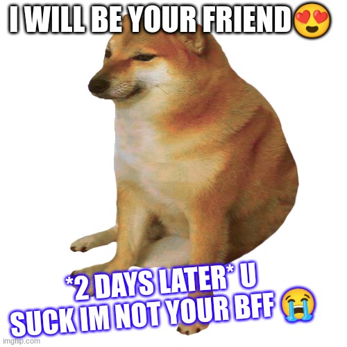 cheems | I WILL BE YOUR FRIEND😍; *2 DAYS LATER* U SUCK IM NOT YOUR BFF 😭 | image tagged in cheems | made w/ Imgflip meme maker