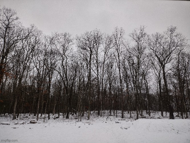 PA winter wonderland | image tagged in winter,snow,pennsylvania | made w/ Imgflip meme maker