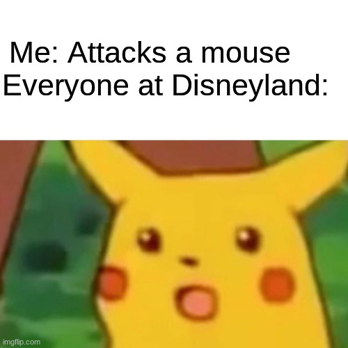 Surprised Pikachu | Me: Attacks a mouse; Everyone at Disneyland: | image tagged in memes,surprised pikachu | made w/ Imgflip meme maker