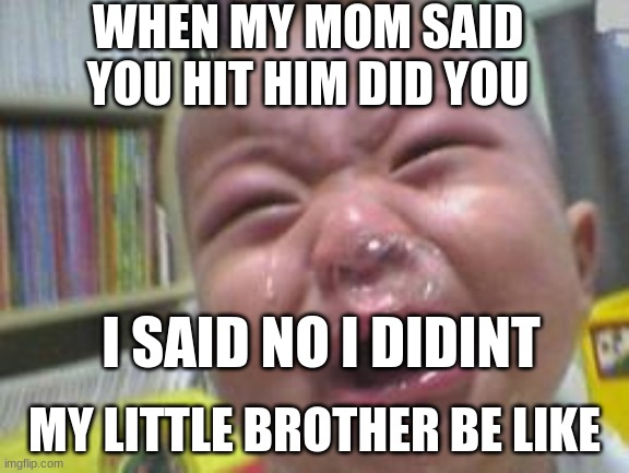 Funny crying baby! | WHEN MY MOM SAID YOU HIT HIM DID YOU; I SAID NO I DIDINT; MY LITTLE BROTHER BE LIKE | image tagged in funny crying baby | made w/ Imgflip meme maker