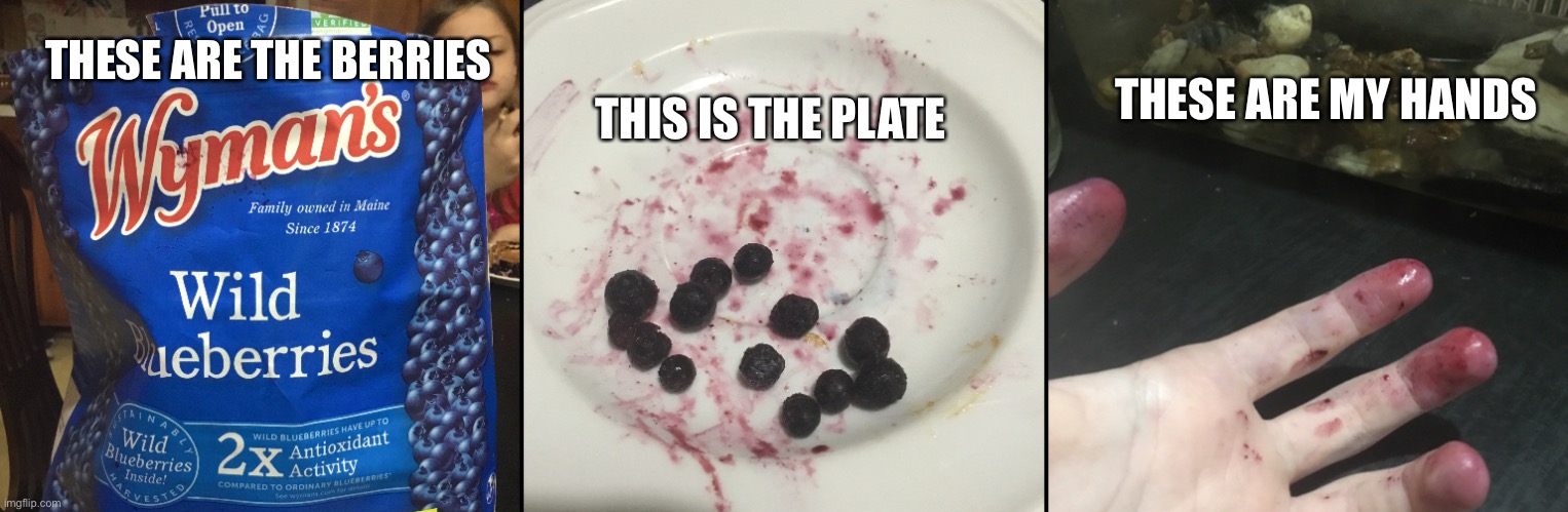 The evidence is all here |  THIS IS THE PLATE; THESE ARE MY HANDS; THESE ARE THE BERRIES | image tagged in guilty,blueberry,relatable memes | made w/ Imgflip meme maker