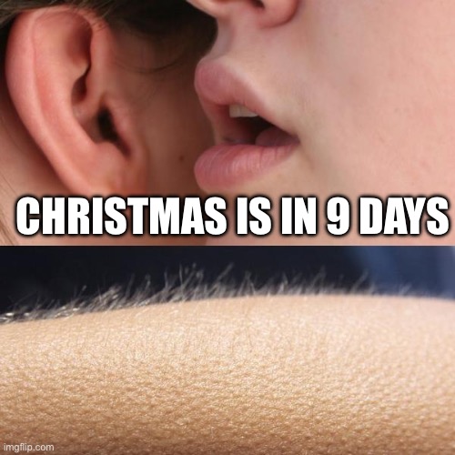 Realization | CHRISTMAS IS IN 9 DAYS | image tagged in whisper and goosebumps | made w/ Imgflip meme maker