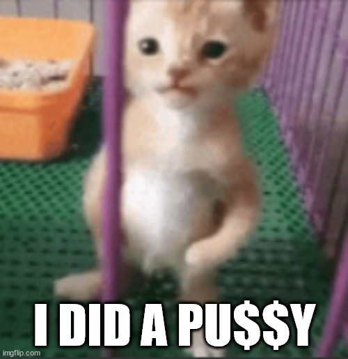 I DID A PU$$Y | made w/ Imgflip meme maker