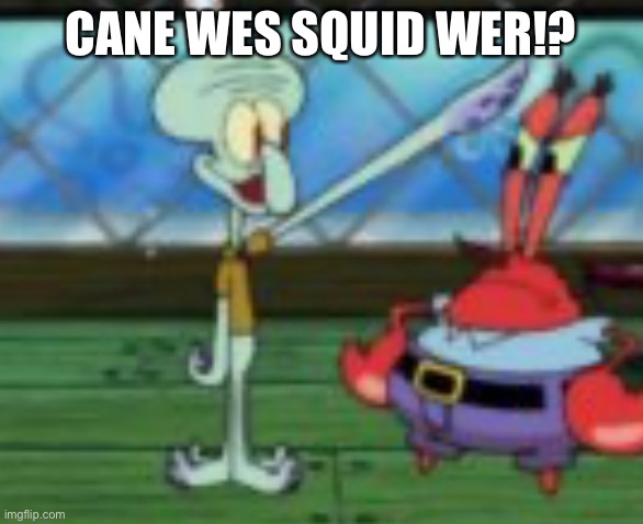 Third reich squidward | CANE WES SQUID WER!? | image tagged in third reich squidward | made w/ Imgflip meme maker