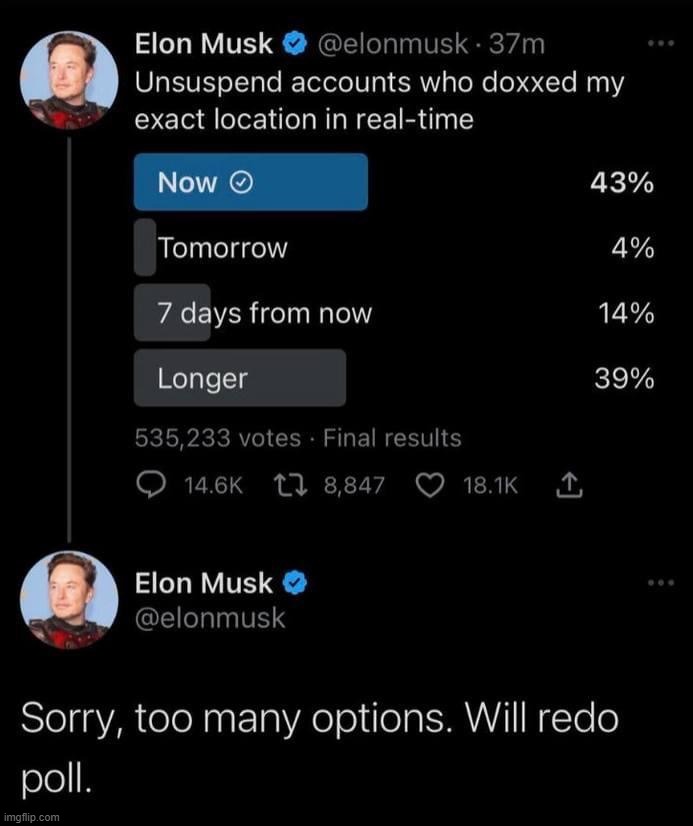 Elon Musk sorry too many options poll | image tagged in elon musk sorry too many options poll | made w/ Imgflip meme maker