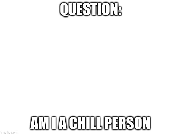 As in, am I a calm and reasonable person? | QUESTION:; AM I A CHILL PERSON | made w/ Imgflip meme maker