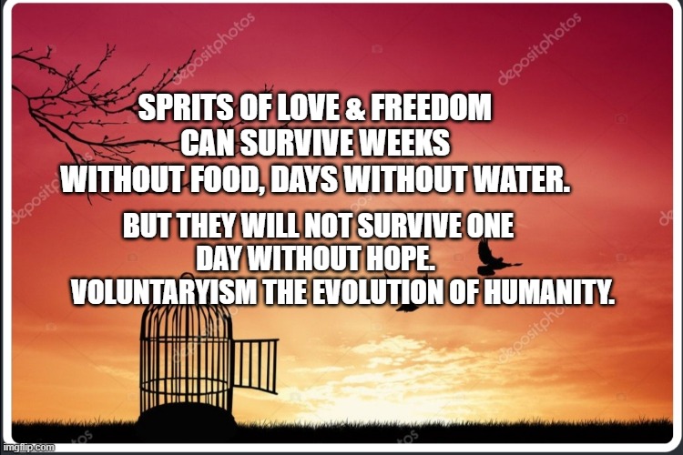 Freedom day, how are you celebrating? | SPRITS OF LOVE & FREEDOM CAN SURVIVE WEEKS WITHOUT FOOD, DAYS WITHOUT WATER. BUT THEY WILL NOT SURVIVE ONE DAY WITHOUT HOPE. 
           VOLUNTARYISM THE EVOLUTION OF HUMANITY. | image tagged in freedom day how are you celebrating | made w/ Imgflip meme maker