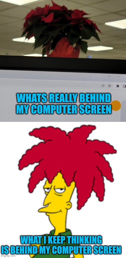 I thought he died | WHATS REALLY BEHIND MY COMPUTER SCREEN; WHAT I KEEP THINKING IS BEHIND MY COMPUTER SCREEN | image tagged in sideshow bob,poinsettia,christmas | made w/ Imgflip meme maker