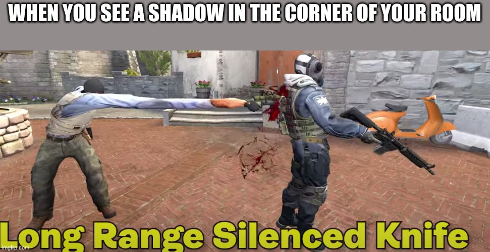 nif | WHEN YOU SEE A SHADOW IN THE CORNER OF YOUR ROOM | image tagged in funny,knife,arm long | made w/ Imgflip meme maker
