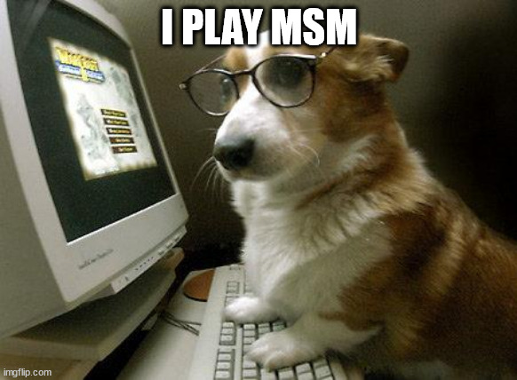 Smart Dog | I PLAY MSM | image tagged in smart dog | made w/ Imgflip meme maker