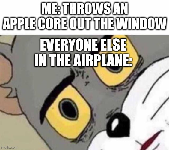 *doot* | ME: THROWS AN APPLE CORE OUT THE WINDOW; EVERYONE ELSE IN THE AIRPLANE: | image tagged in tom cat unsettled close up | made w/ Imgflip meme maker