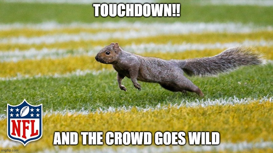 TOUCHDOWN!! AND THE CROWD GOES WILD | image tagged in squirrel,touchdown,football squirrel,raw skill | made w/ Imgflip meme maker