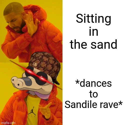Drake Hotline Bling Meme | Sitting in the sand *dances to Sandile rave* | image tagged in memes,drake hotline bling | made w/ Imgflip meme maker