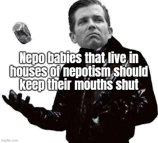 nepo babies | Nepo babies that live in
houses of nepotism should
keep their mouths shut | image tagged in gop hypocrite,conservative hypocrisy | made w/ Imgflip meme maker