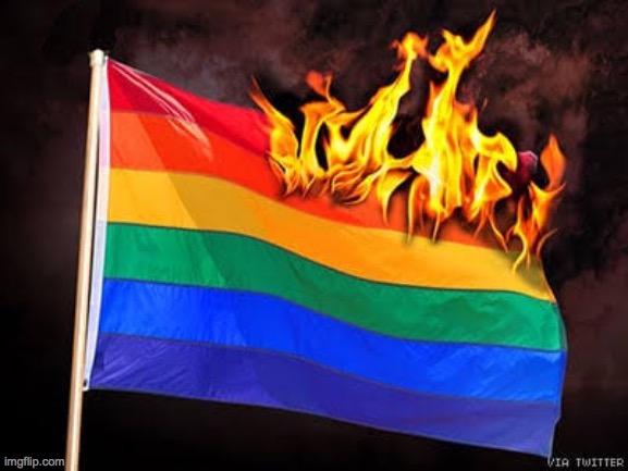 LGBTQ flag burning | image tagged in lgbtq flag burning | made w/ Imgflip meme maker