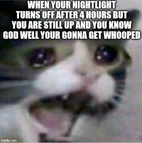 crying cat | WHEN YOUR NIGHTLIGHT TURNS OFF AFTER 4 HOURS BUT YOU ARE STILL UP AND YOU KNOW GOD WELL YOUR GONNA GET WHOOPED | image tagged in crying cat | made w/ Imgflip meme maker