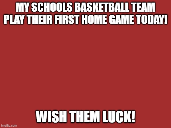 MY SCHOOLS BASKETBALL TEAM PLAY THEIR FIRST HOME GAME TODAY! WISH THEM LUCK! | image tagged in basketball | made w/ Imgflip meme maker
